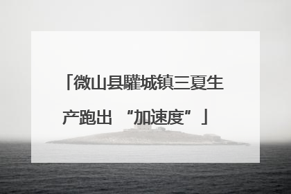 微山县驩城镇三夏生产跑出 “加速度”
